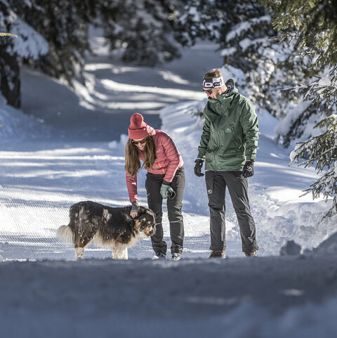 Winterwandelen