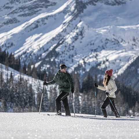 Winterwandelen