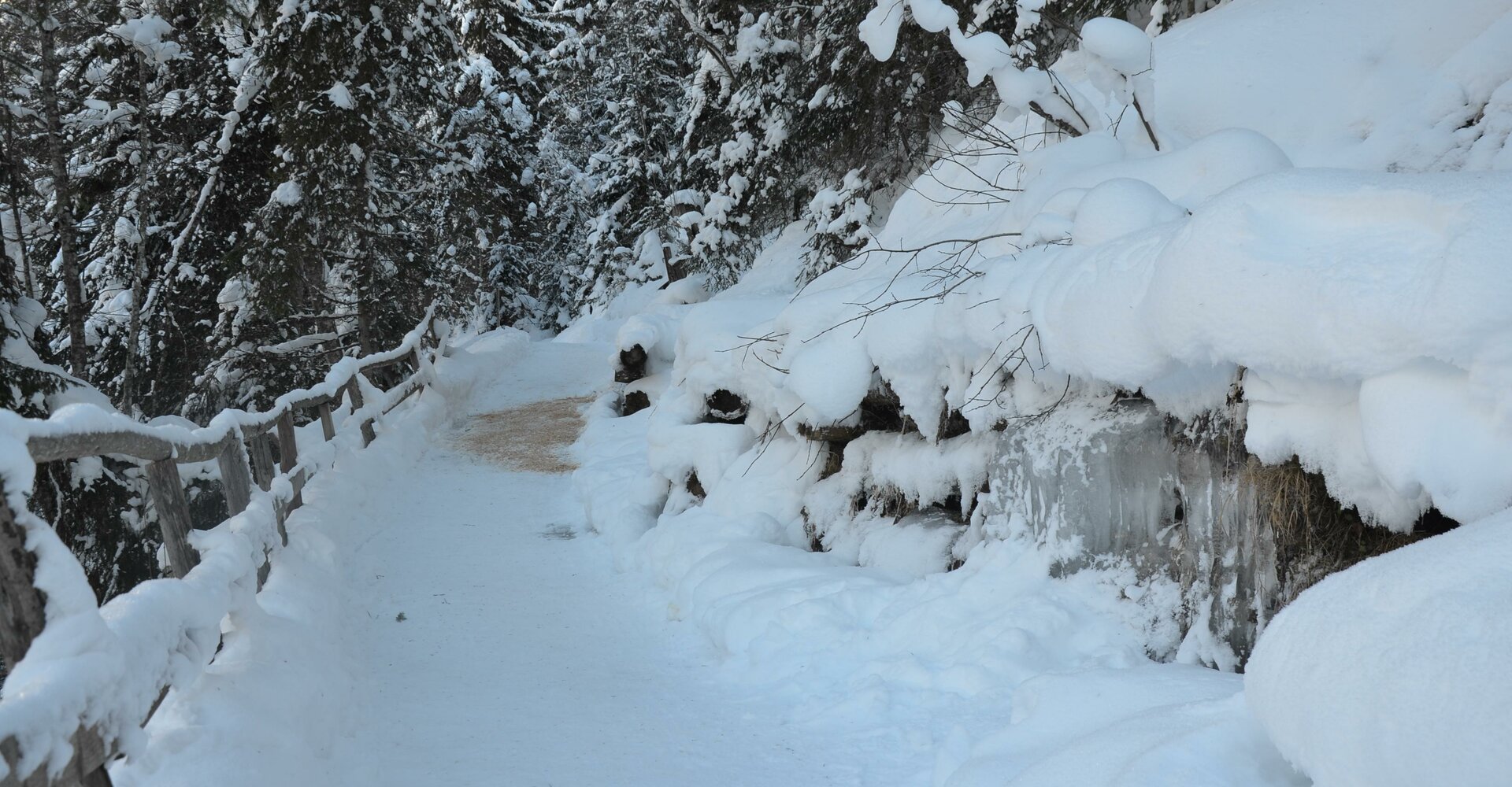 Fischlehrpfad-Winter-02.jpg